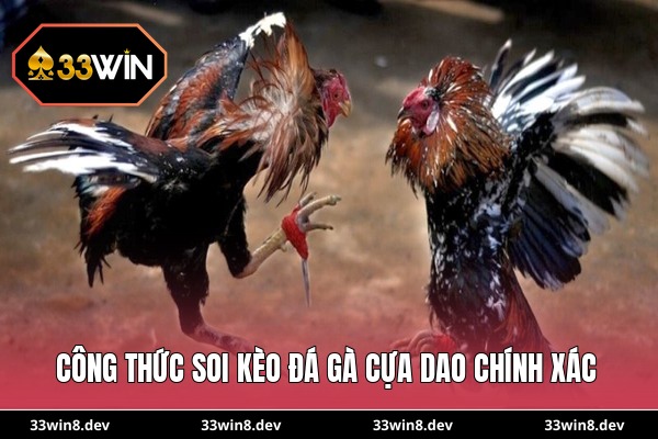 Công thức soi kèo đá gà cựa dao chính xác