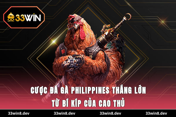 Cược đá gà Philippines thắng lớn từ bí kíp của cao thủ
