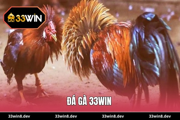 Đá gà 33WIN