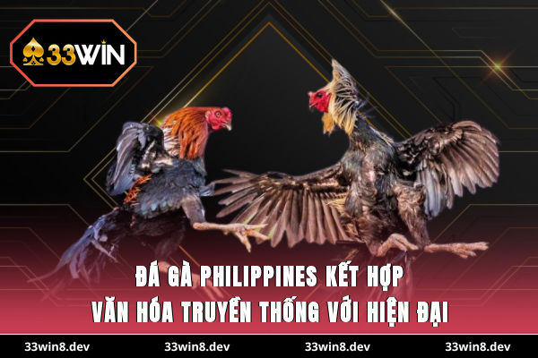 Đá gà Philippines kết hợp văn hóa truyền thống với hiện đại
