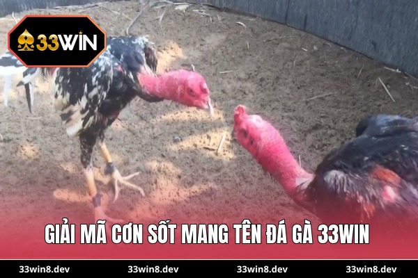 Giải mã cơn sốt mang tên đá gà 33WIN