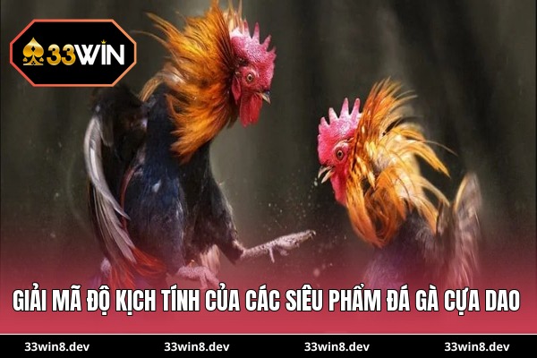 Giải mã độ kịch tính của các siêu phẩm đá gà cựa dao
