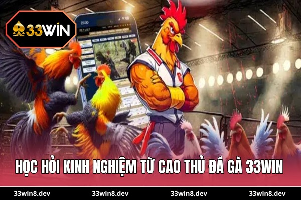 Học hỏi kinh nghiệm từ cao thủ đá gà 33WIN