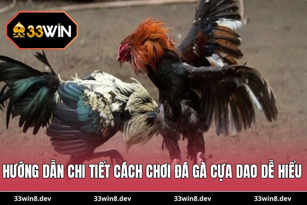 Hướng dẫn chi tiết cách chơi đá gà cựa dao dễ hiểu