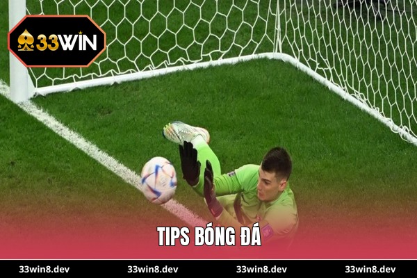Tips bóng đá