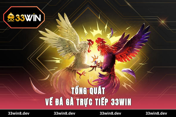 Tổng quát về đá gà trực tiếp 33WIN